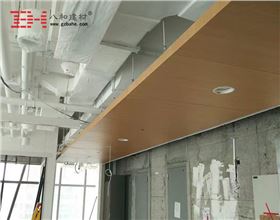 深圳市百麗大廈木紋鋁單板獨(dú)家供應(yīng)4 深圳市百麗大廈木紋鋁單板獨(dú)家供應(yīng)4